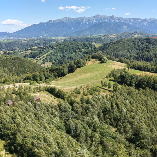 Panoramă spre Bucegi