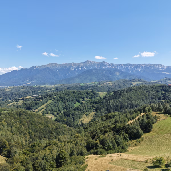 Galerie foto